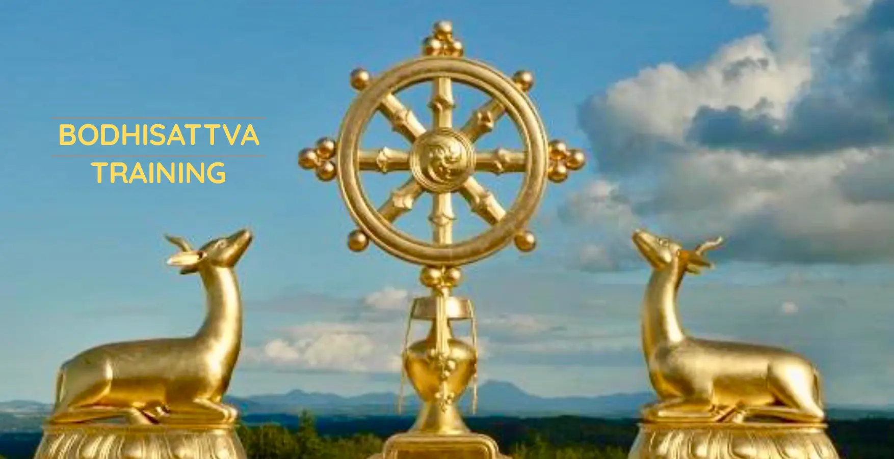 Bodhisattva Training
